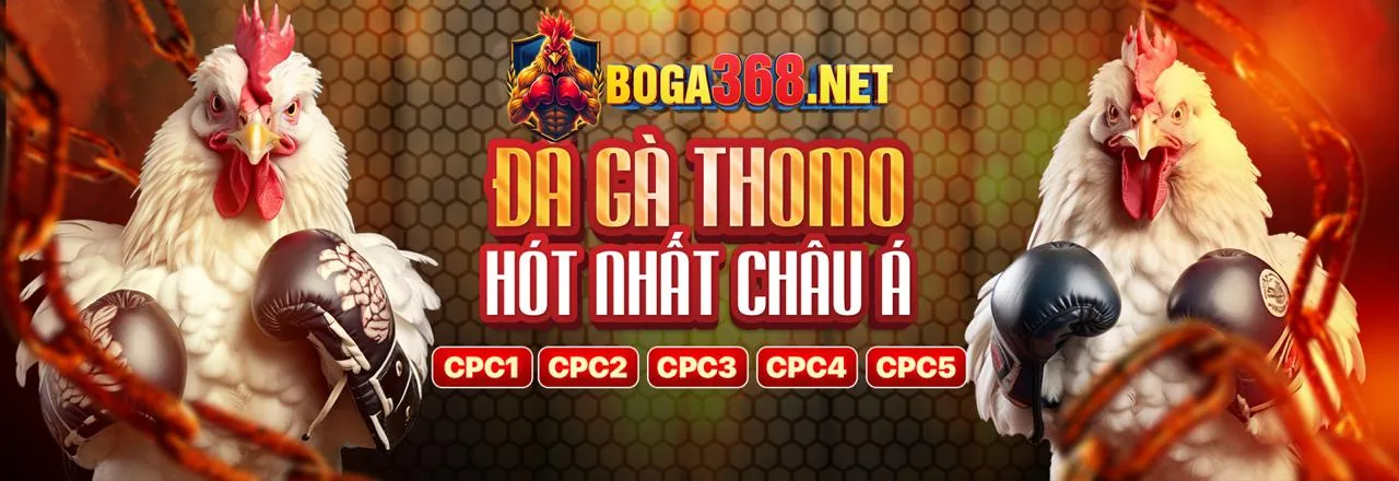 Đá Gà Trực Tuyến Hấp Dẫn tại Sumvip Club 2026