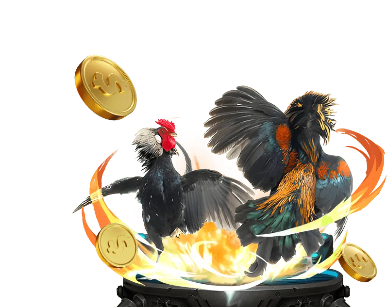 Trực tiếp đá gà tại Sumvip Club